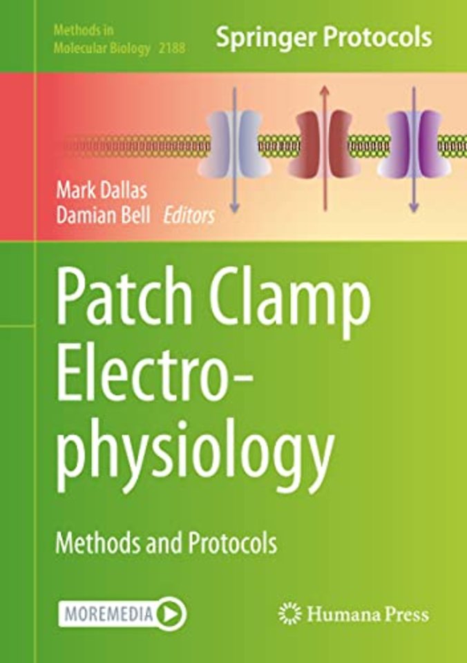 Patch Clamp Electrophysiology