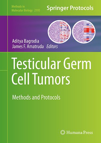 Testicular Germ Cell Tumors