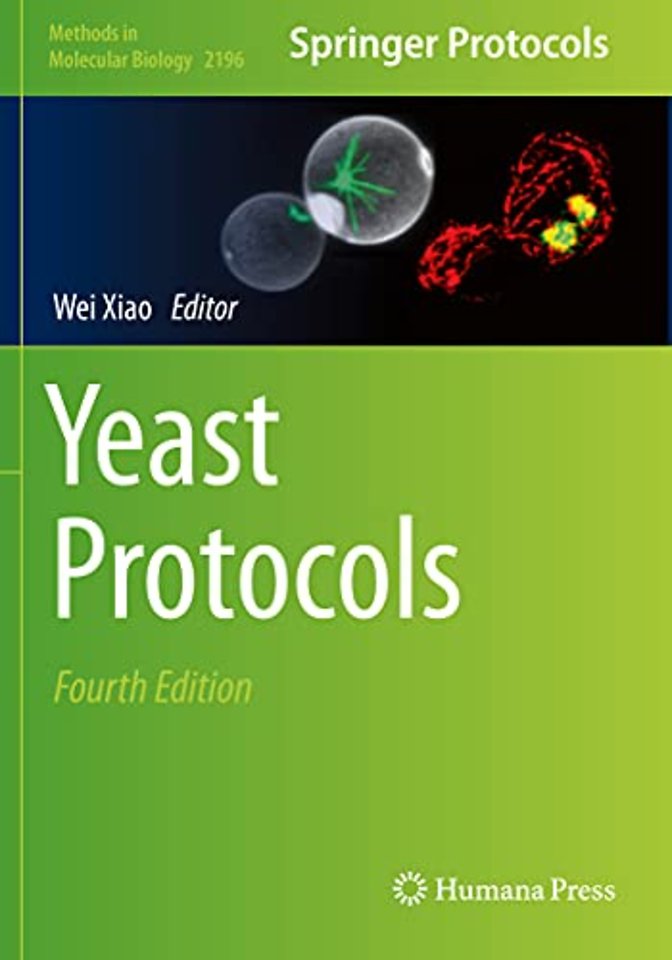 Yeast Protocols