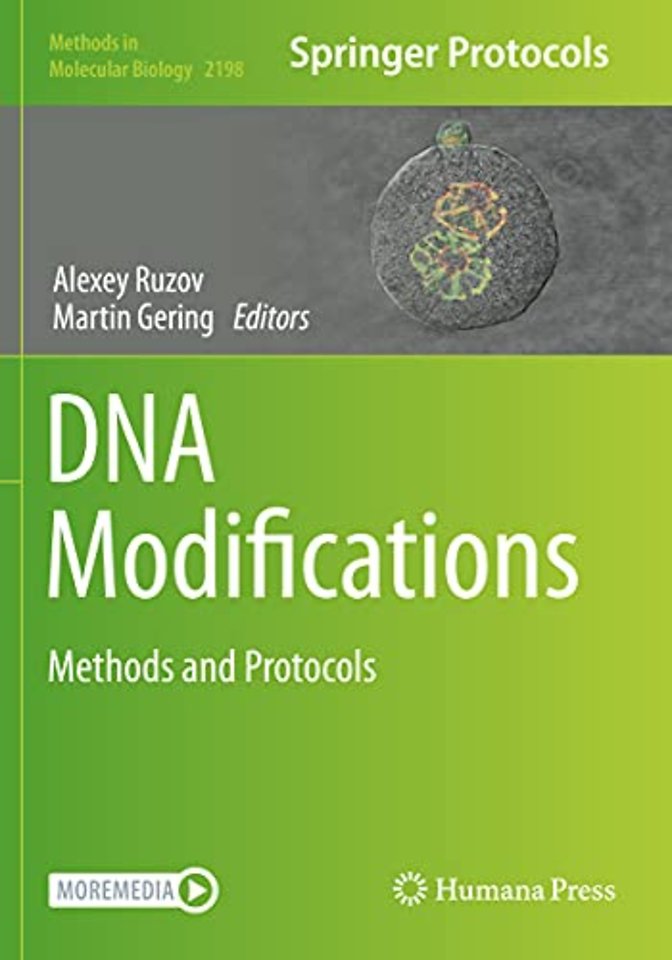 DNA Modifications