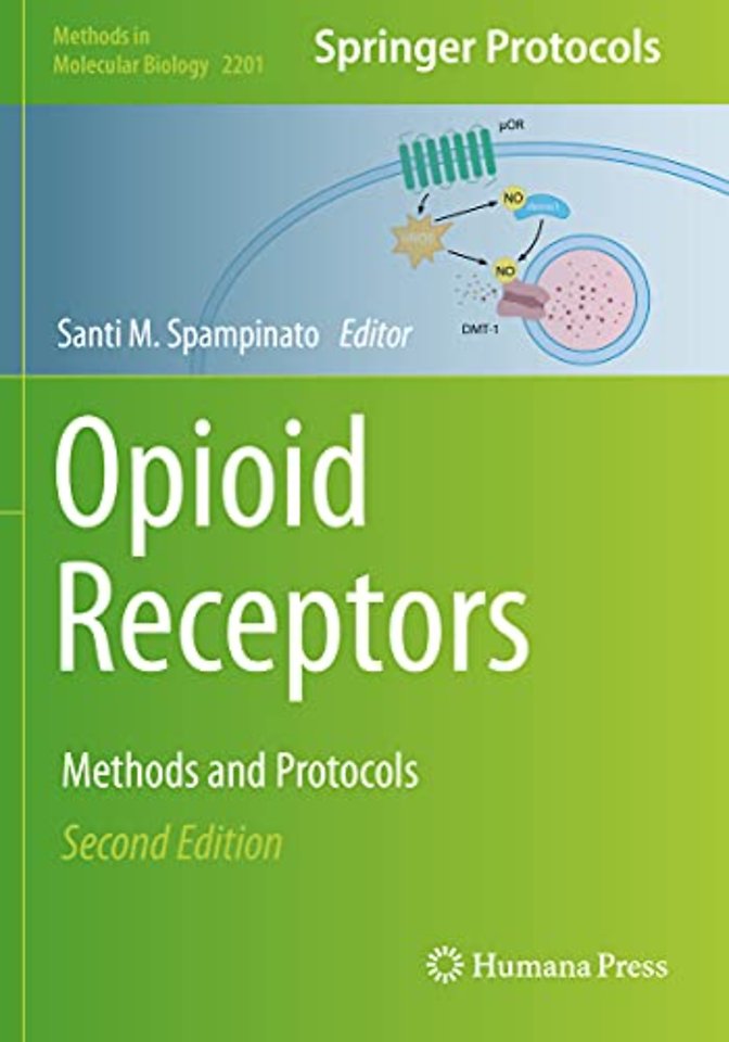 Opioid Receptors