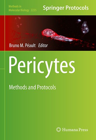 Pericytes