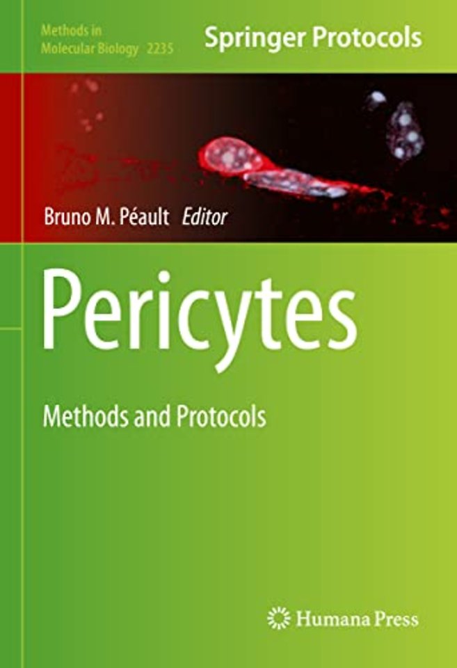 Pericytes