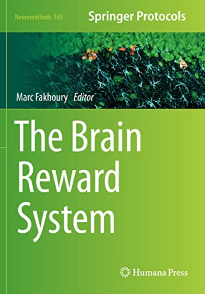 The Brain Reward System