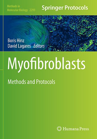 Myofibroblasts