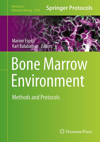 Bone Marrow Environment