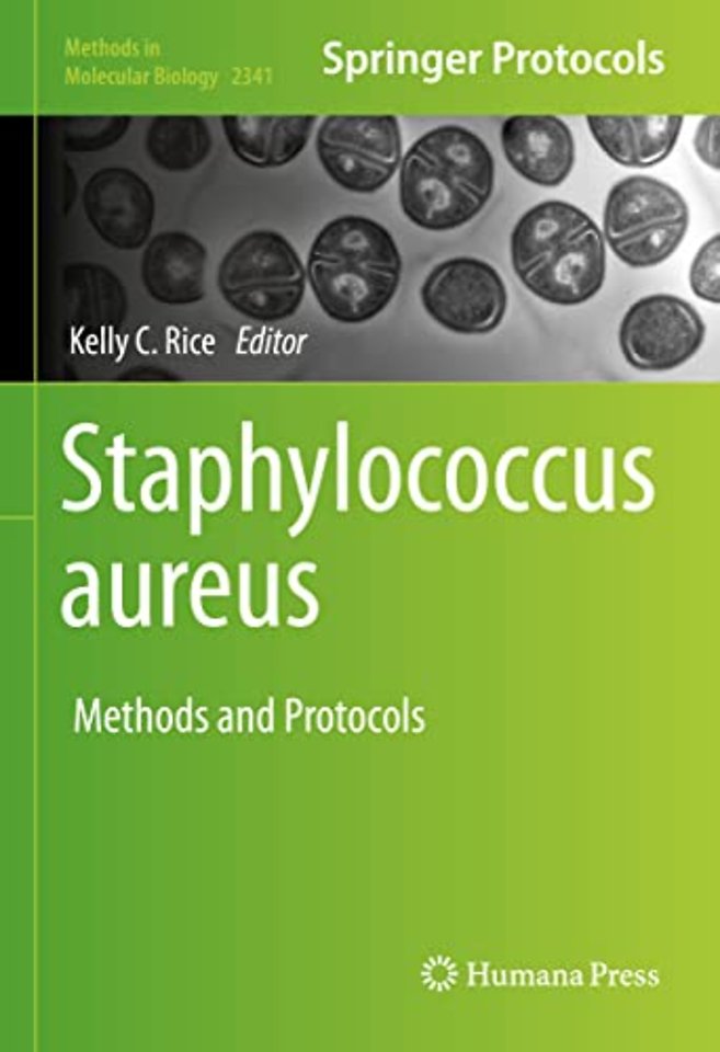 Staphylococcus aureus