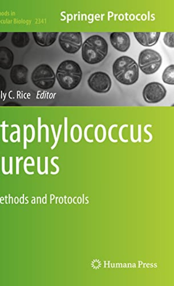 Staphylococcus aureus