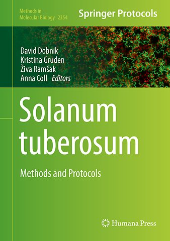 Solanum tuberosum