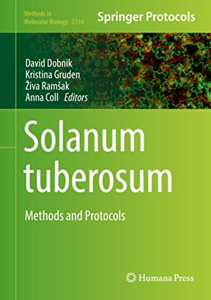 Solanum tuberosum