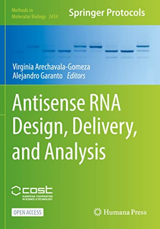 Antisense RNA Design, Delivery, and Analysis