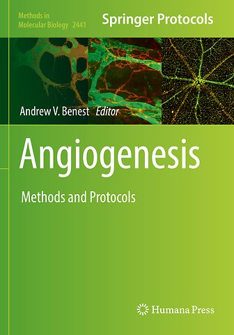 Angiogenesis