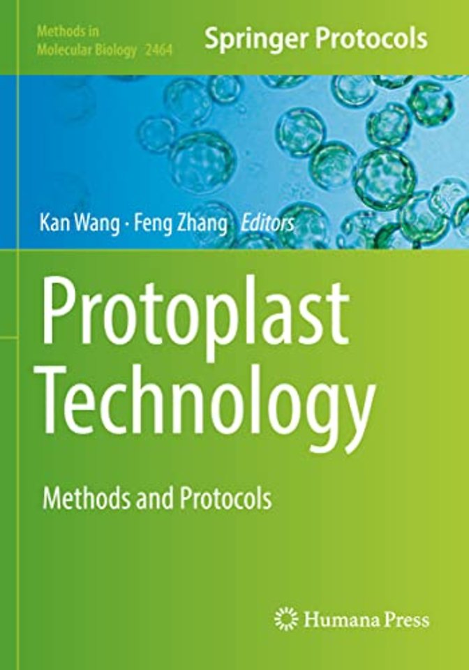 Protoplast Technology
