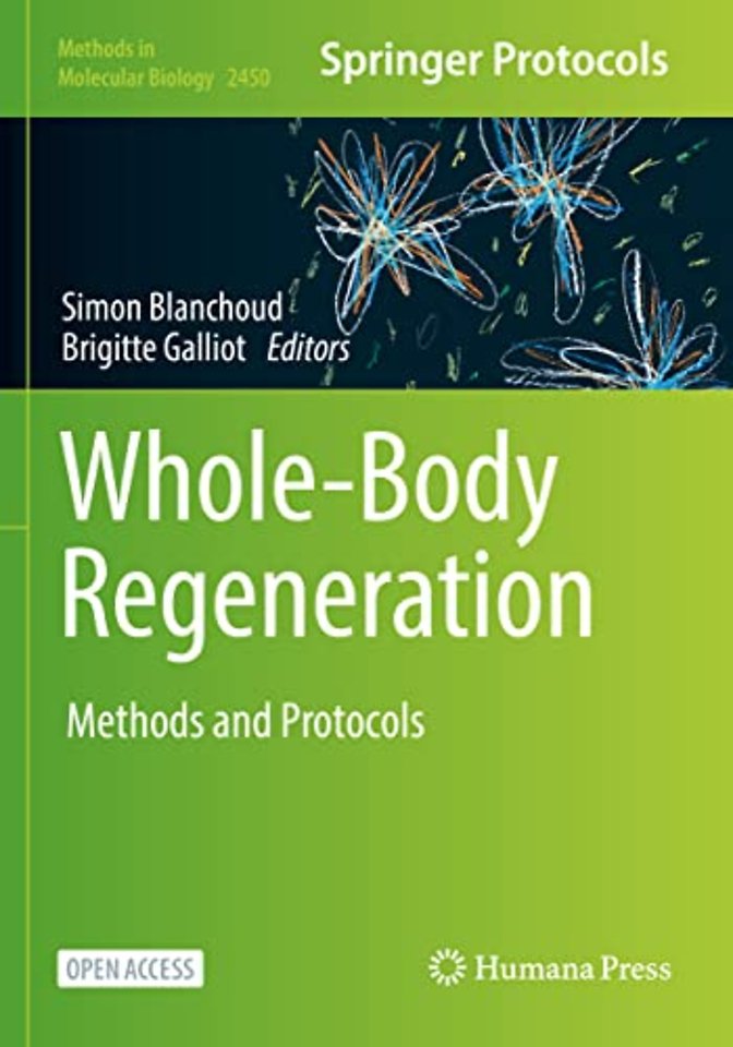 Whole-Body Regeneration