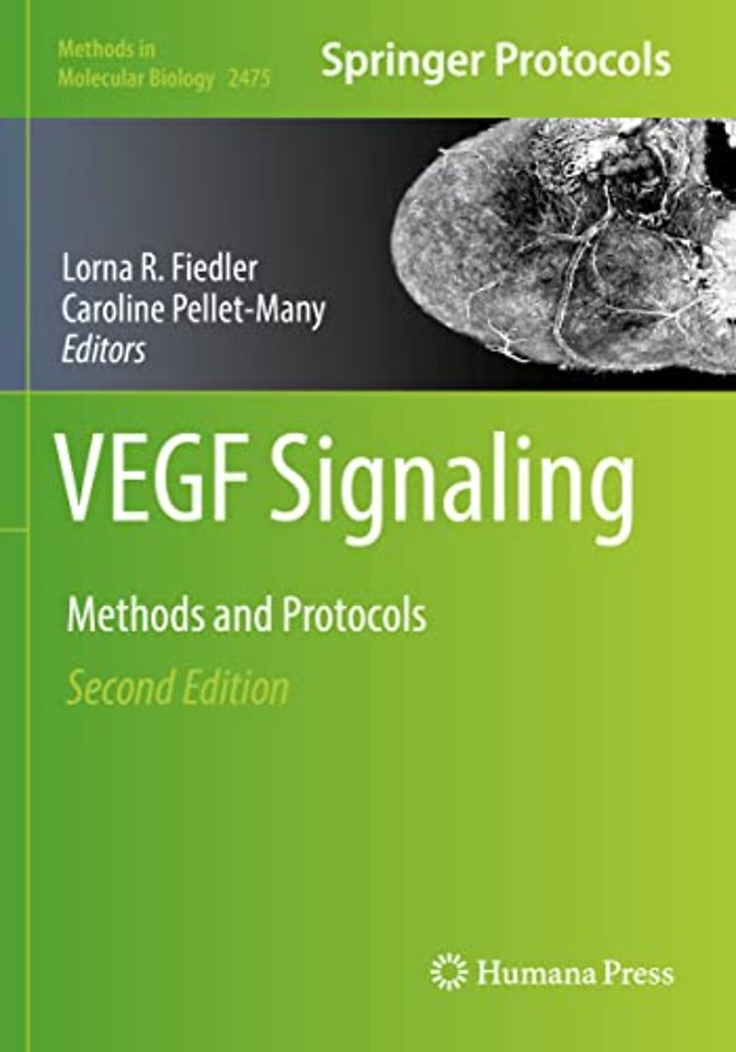 VEGF Signaling