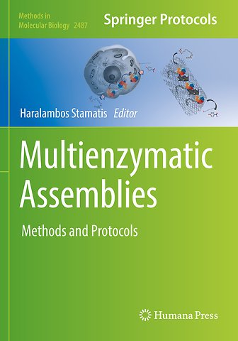 Multienzymatic Assemblies