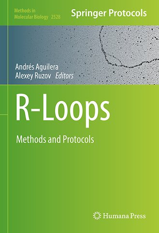 R-Loops