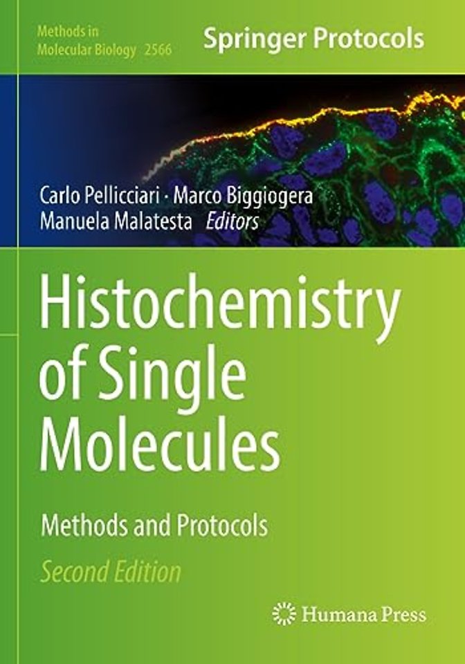 Histochemistry of Single Molecules
