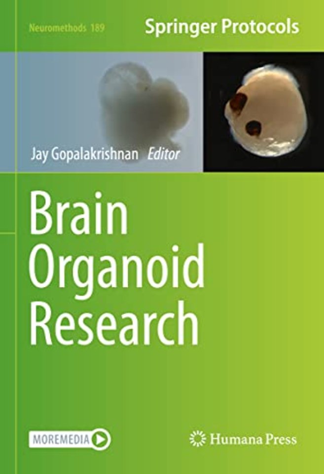 Brain Organoid Research