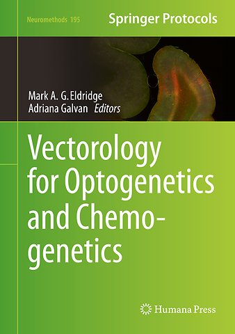 Vectorology for Optogenetics and Chemogenetics