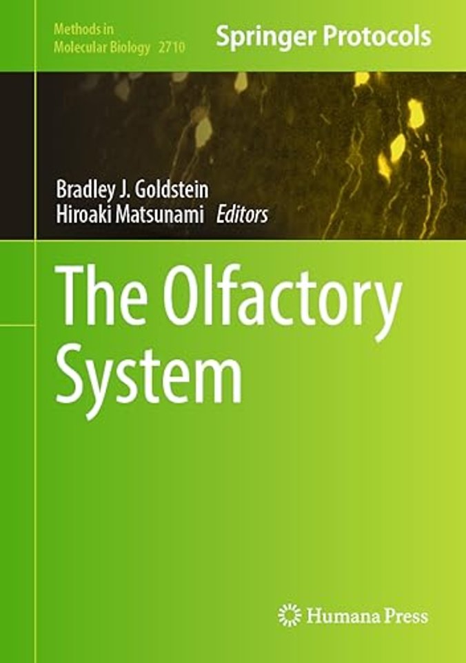 The Olfactory System