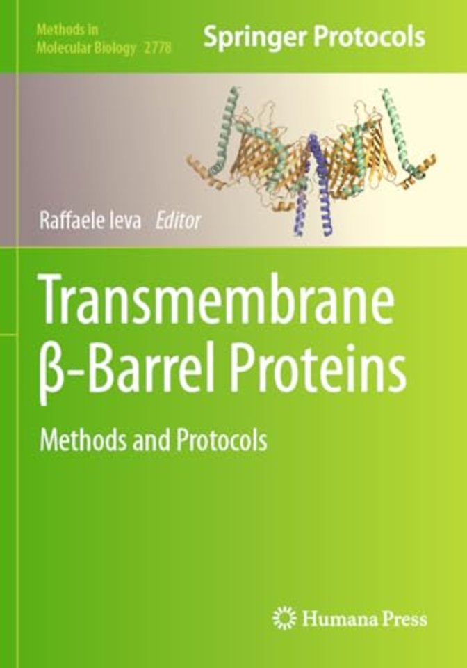 Transmembrane β-Barrel Proteins