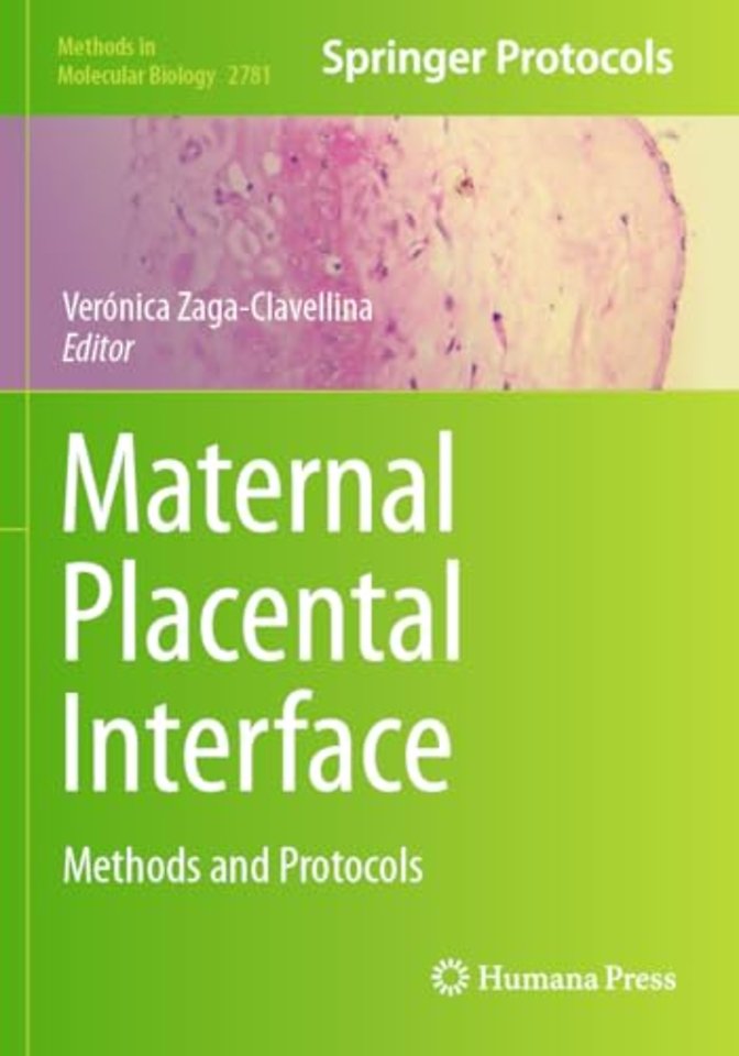 Maternal Placental Interface