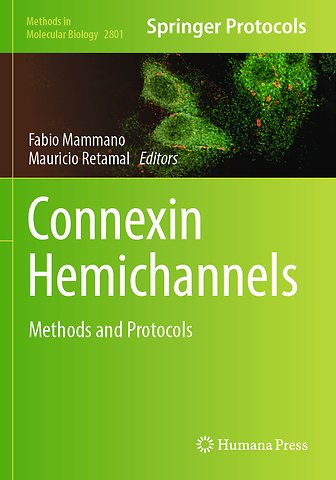 Connexin Hemichannels