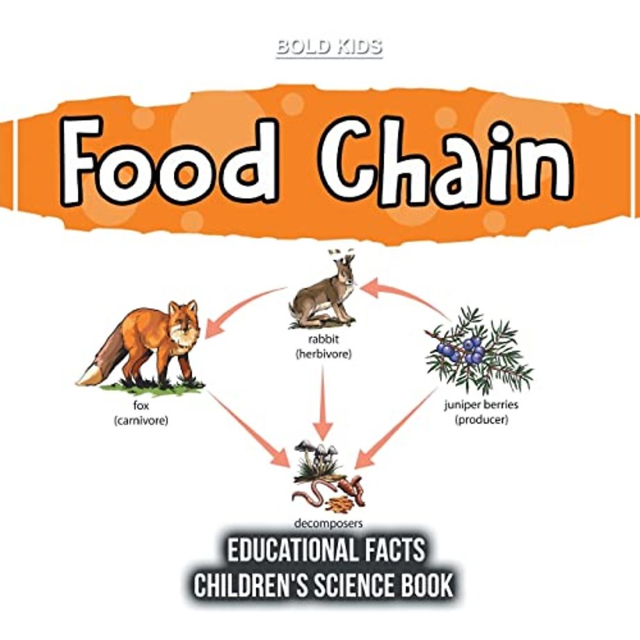 Food Chain Educational Facts Children's Science Book