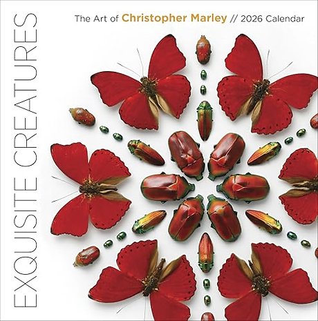 Exquisite Creatures: The Art of Christopher Marley 2026 Wall Calendar