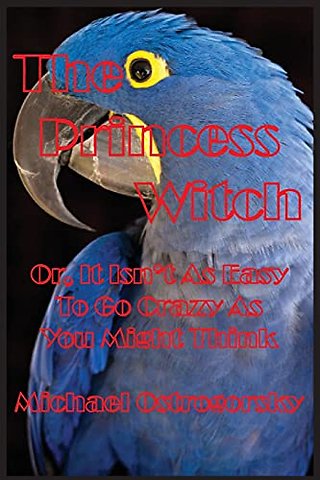 The Princess Witch