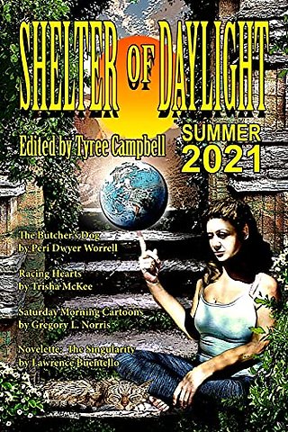 Shelter of Daylight Summer 2021
