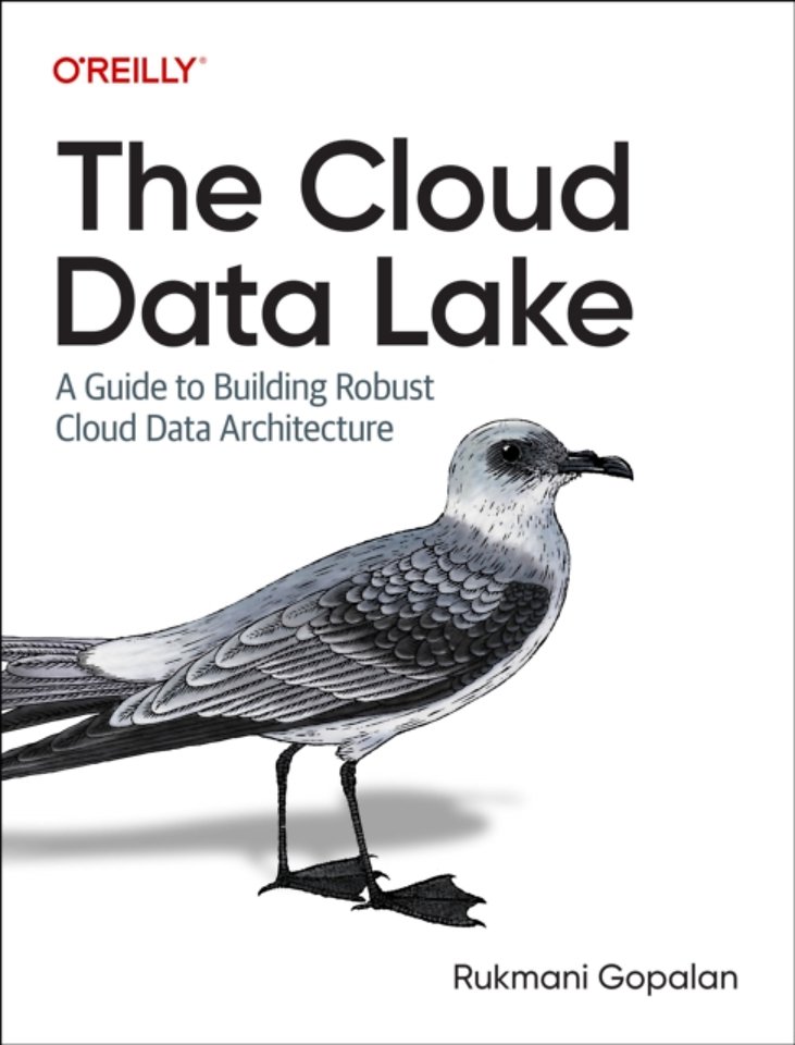 The Cloud Data Lake