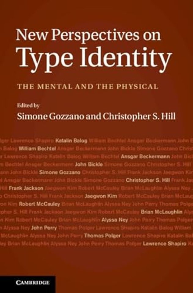 New Perspectives on Type Identity