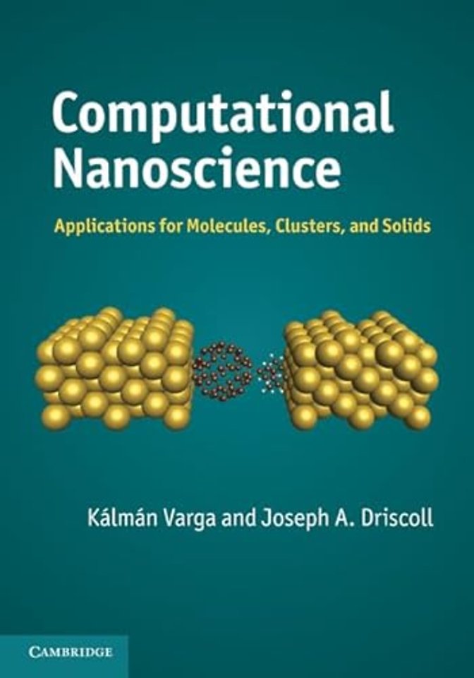 Computational Nanoscience