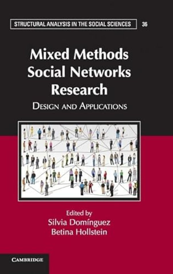 Mixed Methods Social Networks Research