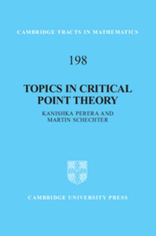 Topics in Critical Point Theory