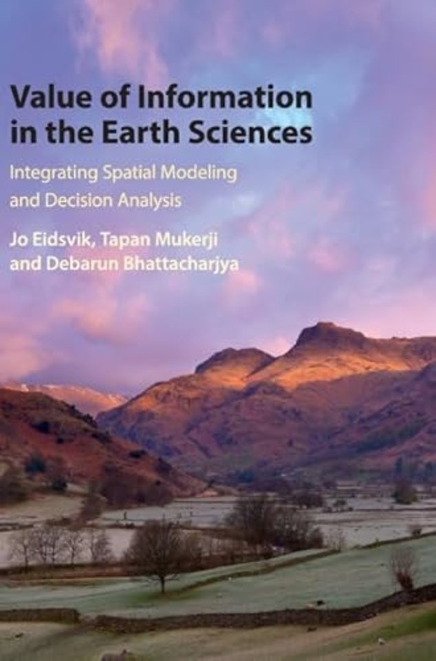 Value of Information in the Earth Sciences