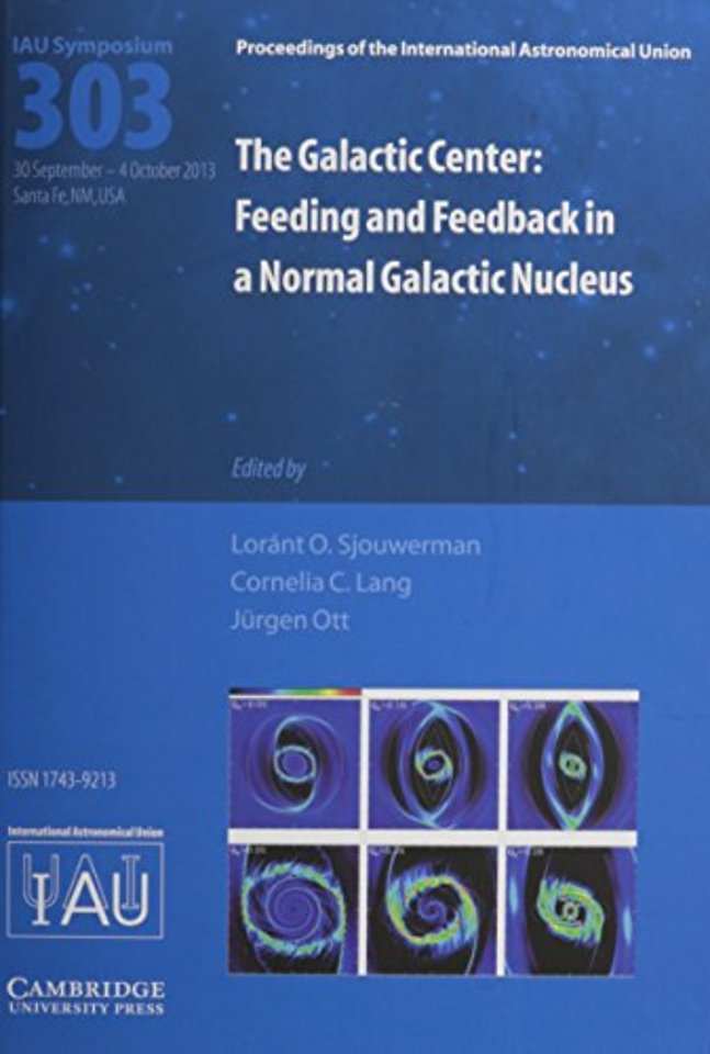 The Galactic Center (IAU S303)