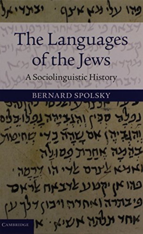 The Languages of the Jews