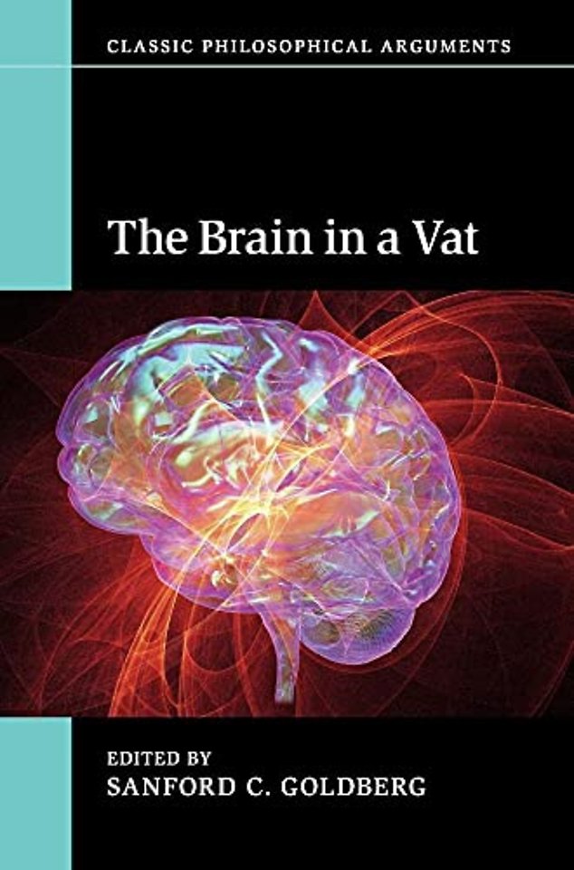 The Brain in a Vat