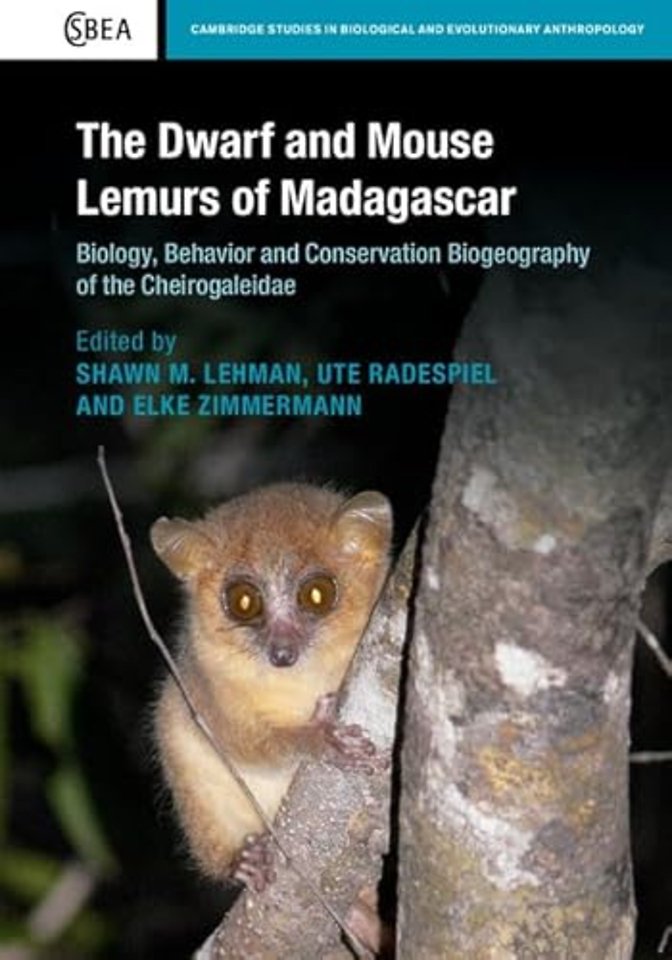 The Dwarf and Mouse Lemurs of Madagascar