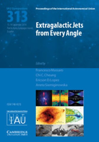 Extragalactic Jets from Every Angle (IAU S313)