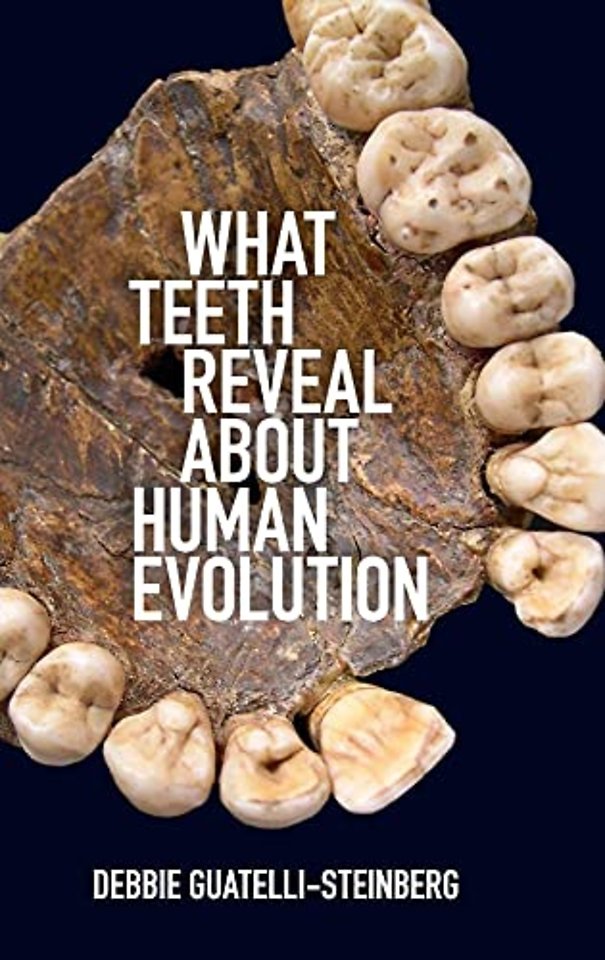 What Teeth Reveal about Human Evolution