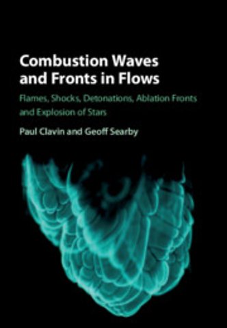 Combustion Waves and Fronts in Flows