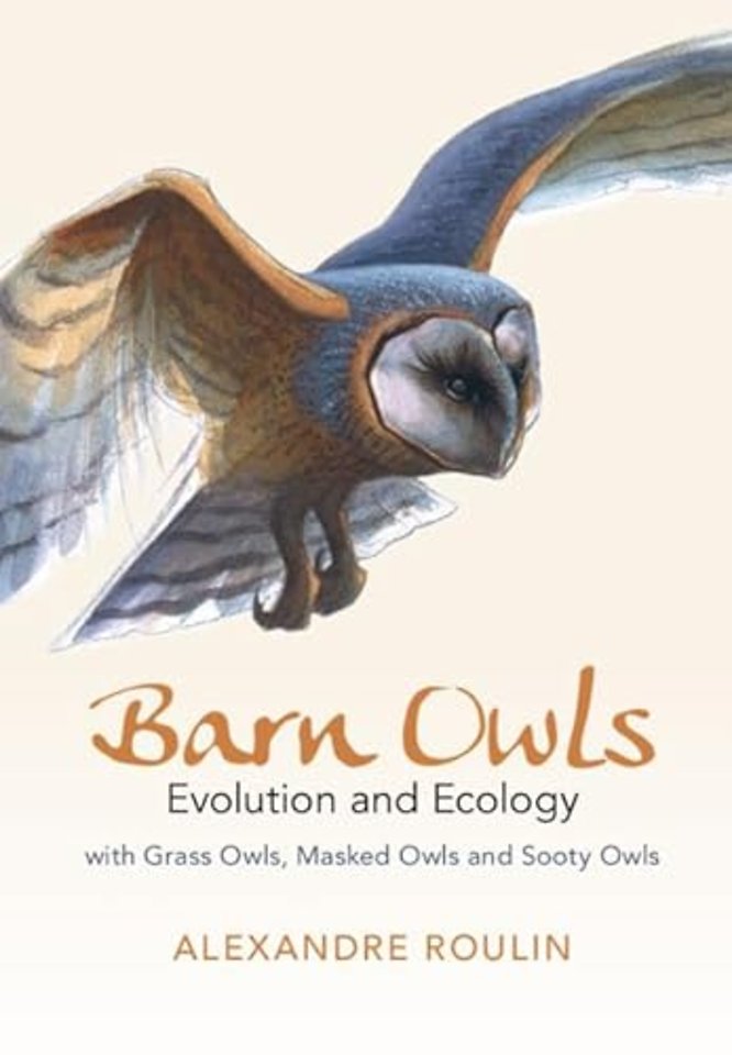 Barn Owls