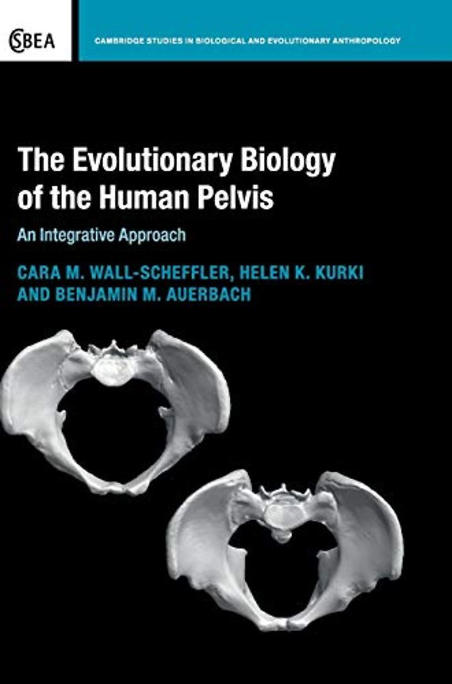The Evolutionary Biology of the Human Pelvis