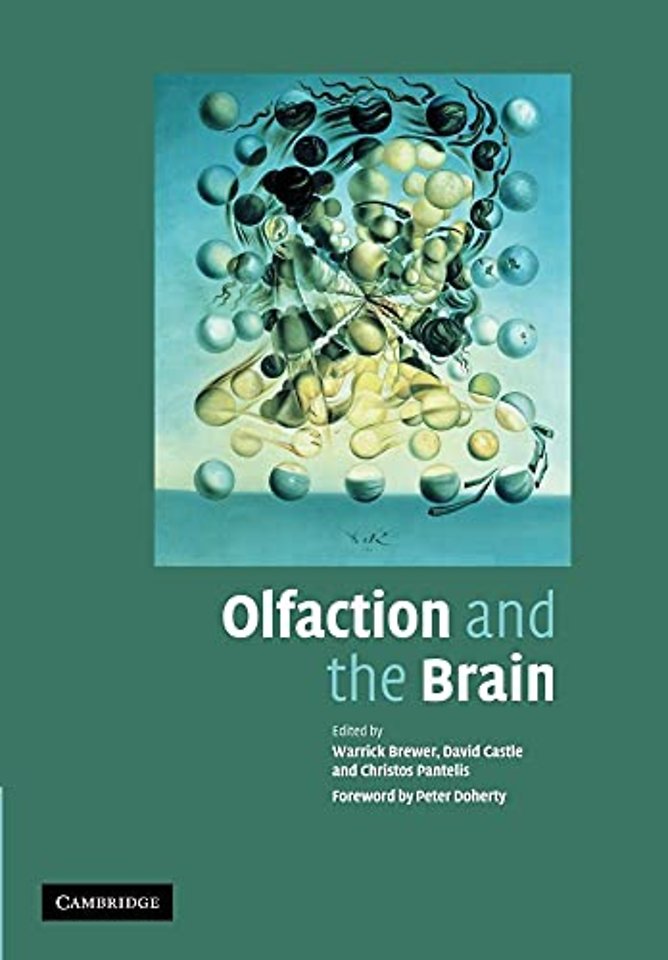 Olfaction and the Brain