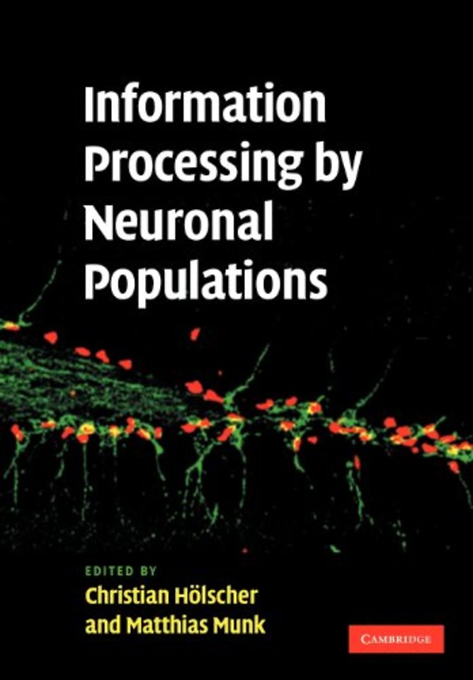 Information Processing by Neuronal Populations