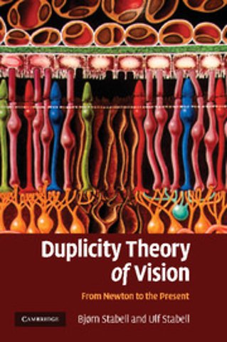 Duplicity Theory of Vision